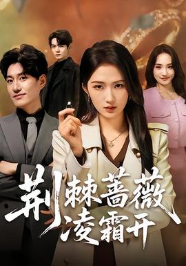 第七次来访